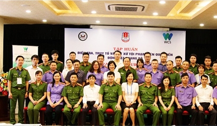 Viện KSND thành phố Hà Nội tham gia lớp tập huấn điều tra, truy tố và...